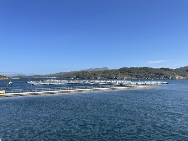 Floating piers Mowi Feed Aver C3 B8ya rennebrygger Foto Matthew Baker Watkins 6